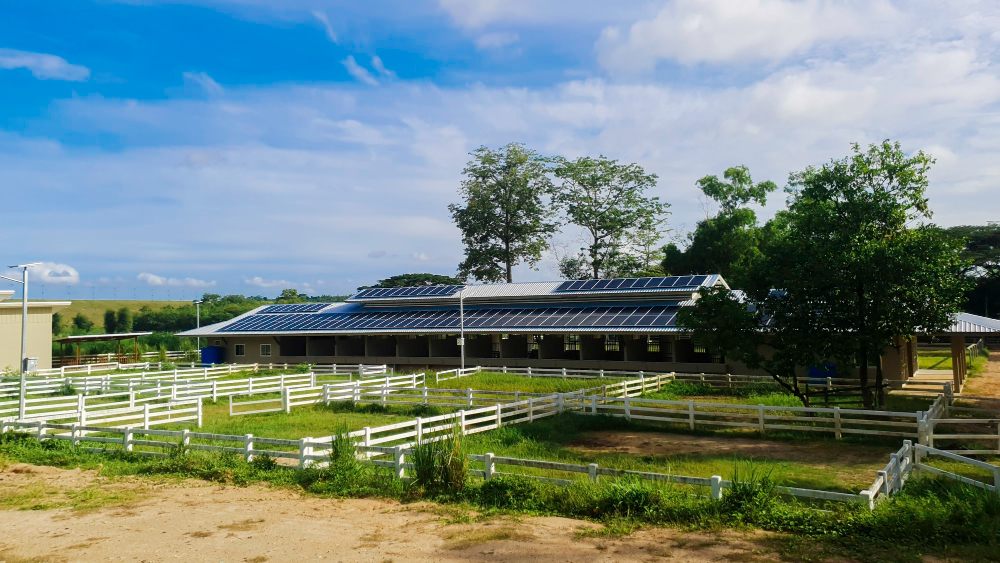 Ground Mount Solar Farm